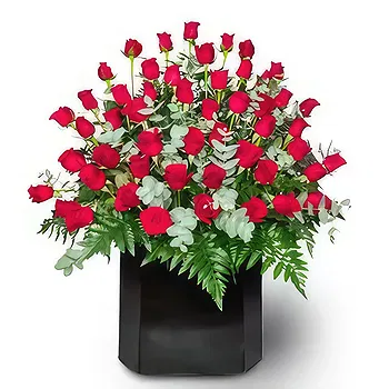 Honduras flowers  -  Winter fresh Flower Delivery