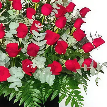 El Rincon flowers  -  Winter fresh Flower Bouquet/Arrangement
