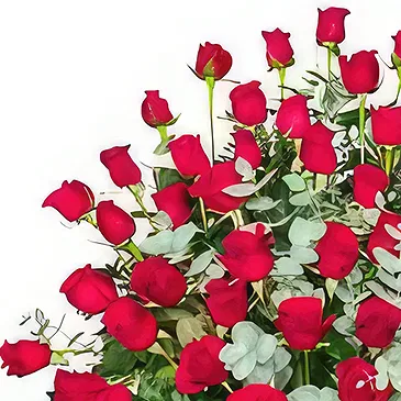 El Rincon flowers  -  Winter fresh Flower Bouquet/Arrangement