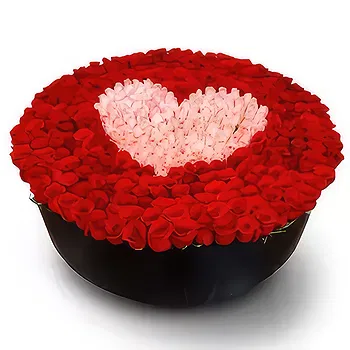 Honduras flowers  -  Rose World  Flower Delivery