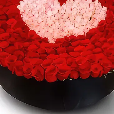 El Rincon flowers  -  Rose World  Flower Bouquet/Arrangement