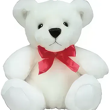 Bollullos de la Mitacion flowers  -  Teddy Bear Flower Bouquet/Arrangement