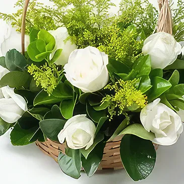 Brazil flowers  -  Fresh scent Flower Bouquet/Arrangement
