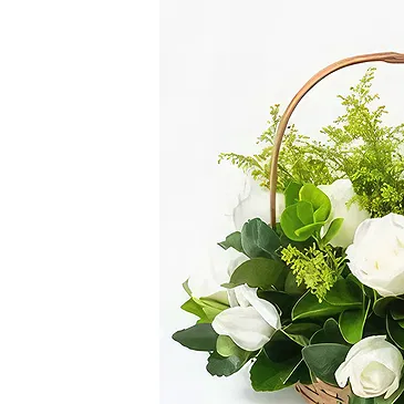 Brazil flowers  -  Fresh scent Flower Bouquet/Arrangement