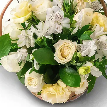 Brazil flowers  -  Rare Choice Flower Bouquet/Arrangement