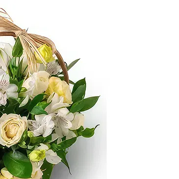 Brazil flowers  -  Rare Choice Flower Bouquet/Arrangement