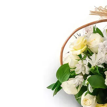 Brazil flowers  -  Rare Choice Flower Bouquet/Arrangement