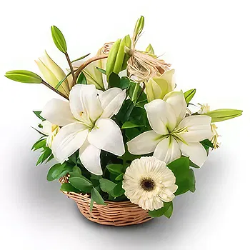 Brazil flowers  -  Inside Happiness Flower Delivery