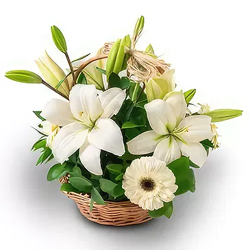 Brazil flowers  -  Inside Happiness Flower Bouquet/Arrangement