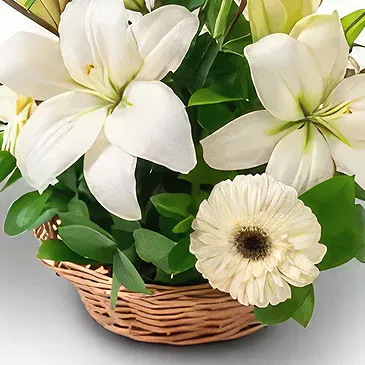 Brazil flowers  -  Inside Happiness Flower Bouquet/Arrangement