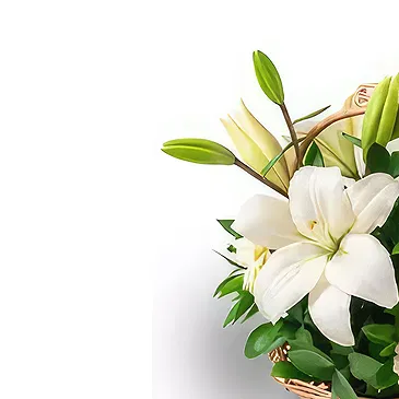 Brazil flowers  -  Inside Happiness Flower Bouquet/Arrangement