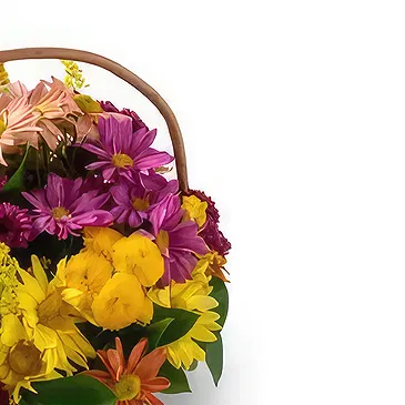 Brazil flowers  -  Welcotti Flower Bouquet/Arrangement