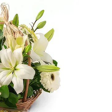 Brazil flowers  -  Sweet gift Flower Bouquet/Arrangement