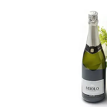 Brazil flowers  -  MIOLO Flower Bouquet/Arrangement