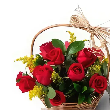 بائع زهور برازيليا- ببساطة أحمر باقة الزهور