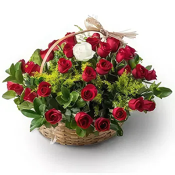 Brazil flowers  -  New arrival Flower Delivery