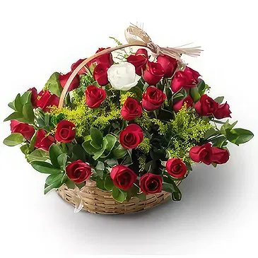 Brazil flowers  -  New arrival Flower Bouquet/Arrangement