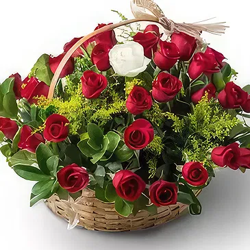 Brazil flowers  -  New arrival Flower Bouquet/Arrangement