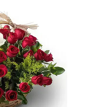 Brazil flowers  -  New arrival Flower Bouquet/Arrangement
