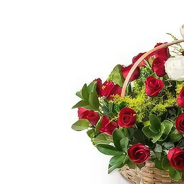 Brazil flowers  -  New arrival Flower Bouquet/Arrangement