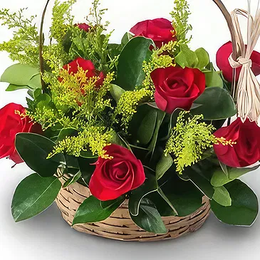 Brazil flowers  -  Thinking of you Flower Bouquet/Arrangement