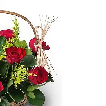 Brazil flowers  -  Thinking of you Flower Bouquet/Arrangement