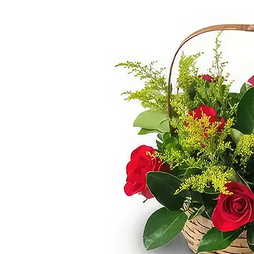 Brazil flowers  -  Thinking of you Flower Bouquet/Arrangement