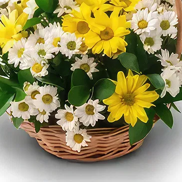 Brazil flowers  -  Mellow yellow Flower Bouquet/Arrangement