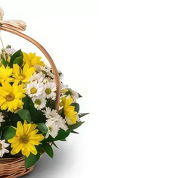 Brazil flowers  -  Mellow yellow Flower Bouquet/Arrangement