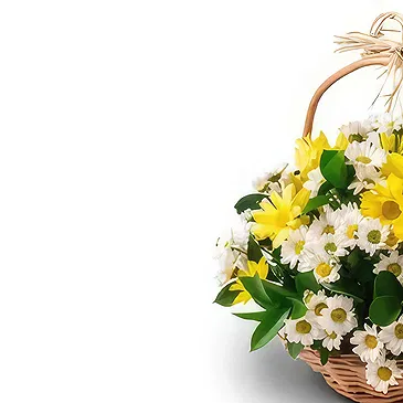 Brazil flowers  -  Mellow yellow Flower Bouquet/Arrangement