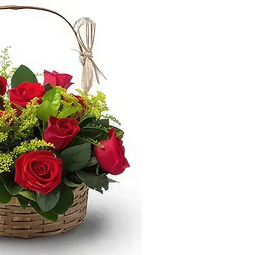 Brazil flowers  -  Rose Delight Flower Bouquet/Arrangement