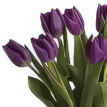 Buangkok flowers  -  Violet Bouquet Flower Bouquet/Arrangement
