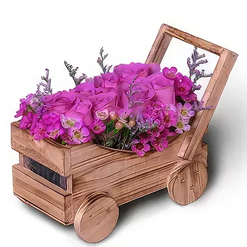 Buangkok flowers  -  Mauve Glow Flower Delivery