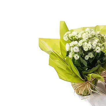 Brazil flowers  -  Flower Mill Flower Bouquet/Arrangement