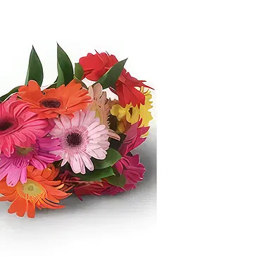 Santa Maria da Boa Vista flowers  -  Amish Flower Bouquet/Arrangement