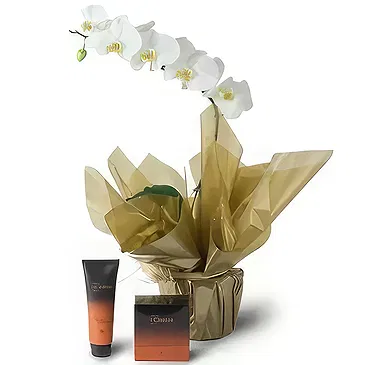 Santa Maria da Boa Vista flowers  -  Lovely Creations Flower Bouquet/Arrangement