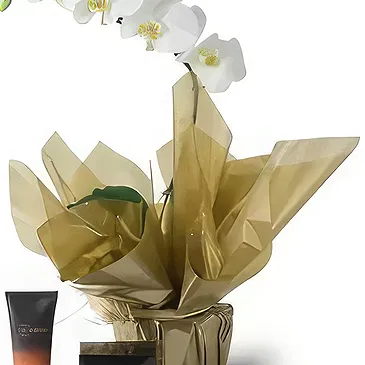 Santa Maria da Boa Vista flowers  -  Lovely Creations Flower Bouquet/Arrangement