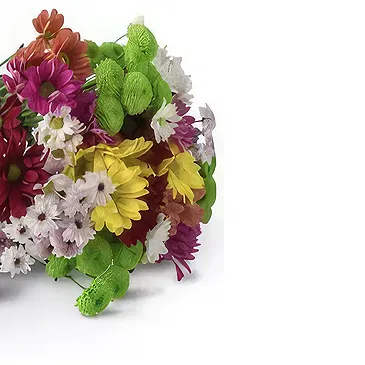 Santa Maria da Boa Vista flowers  -  Made to Inspire Flower Bouquet/Arrangement