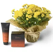 Santa Maria da Boa Vista online Florist - Happy Place Bouquet