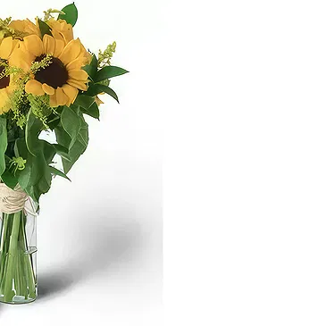 Santa Maria da Boa Vista flowers  -  Smiles for Miles Flower Bouquet/Arrangement
