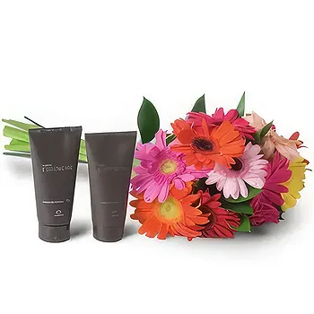 Santa Maria da Boa Vista flowers  -  Present Day Flower Delivery