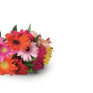 Santa Maria da Boa Vista flowers  -  Present Day Flower Bouquet/Arrangement