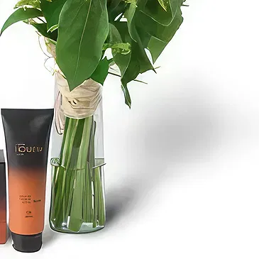 Santa Maria da Boa Vista flowers  -  Gifts and More Flower Bouquet/Arrangement