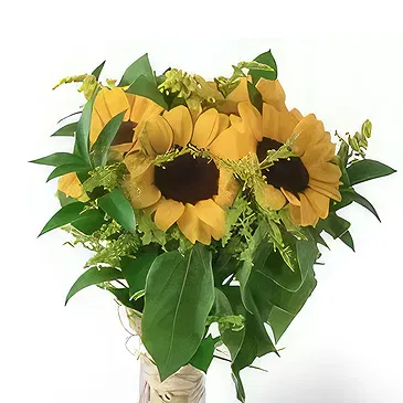 Santa Maria da Boa Vista flowers  -  Gifts and More Flower Bouquet/Arrangement
