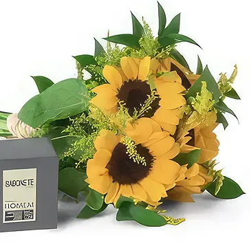 Santa Maria da Boa Vista flowers  -  Merry Tails Flower Bouquet/Arrangement
