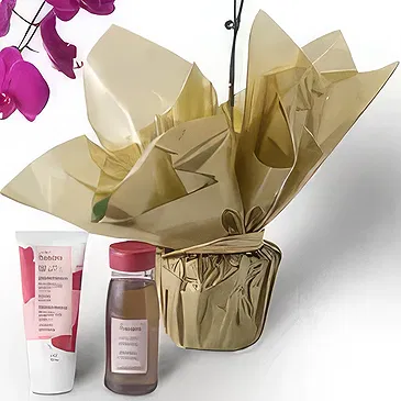 Santa Maria da Boa Vista flowers  -  Pink Petals Flower Bouquet/Arrangement