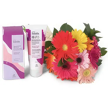 Santa Maria da Boa Vista flowers  -  Fresh Pieces Flower Bouquet/Arrangement