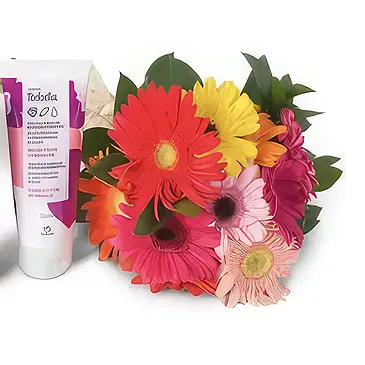 Santa Maria da Boa Vista flowers  -  Fresh Pieces Flower Bouquet/Arrangement