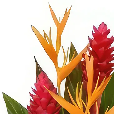 Nakorotubu blommor- Färgburst Bukett/blomsterarrangemang