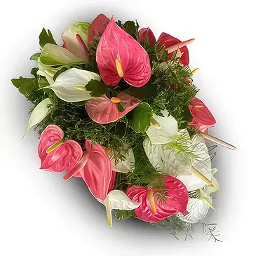 Nakorotubu blommor- Drömland Bukett/blomsterarrangemang